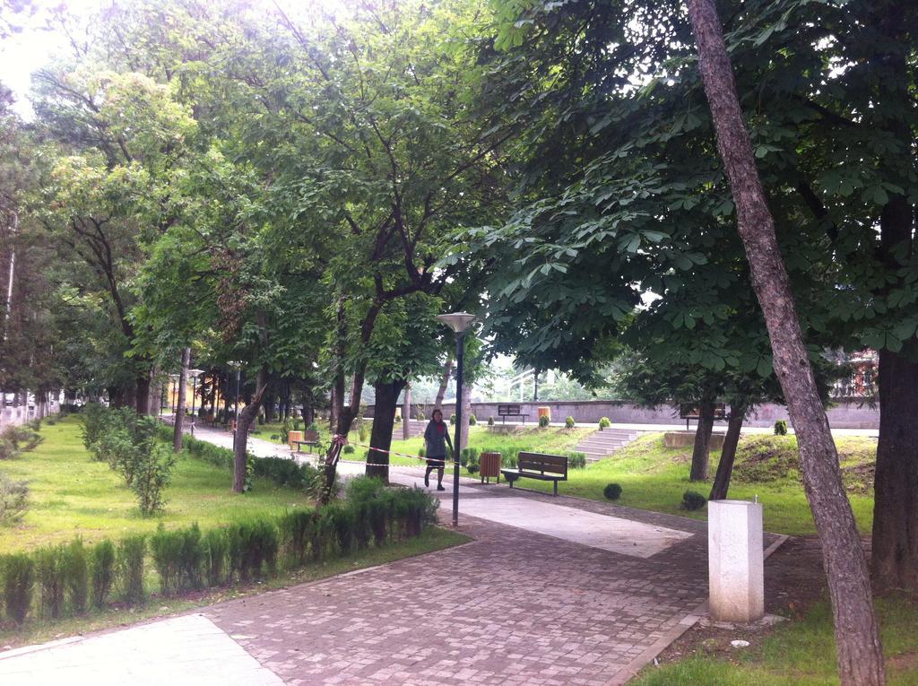 Guesthouse Natalia Borjomi Dış mekan fotoğraf
